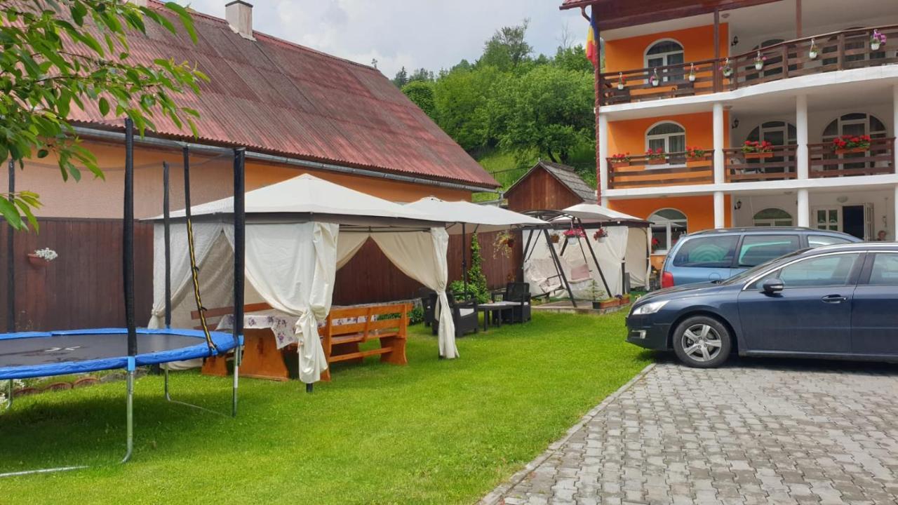 Casa Cristalina&Dumi Pensionat Albac Eksteriør billede