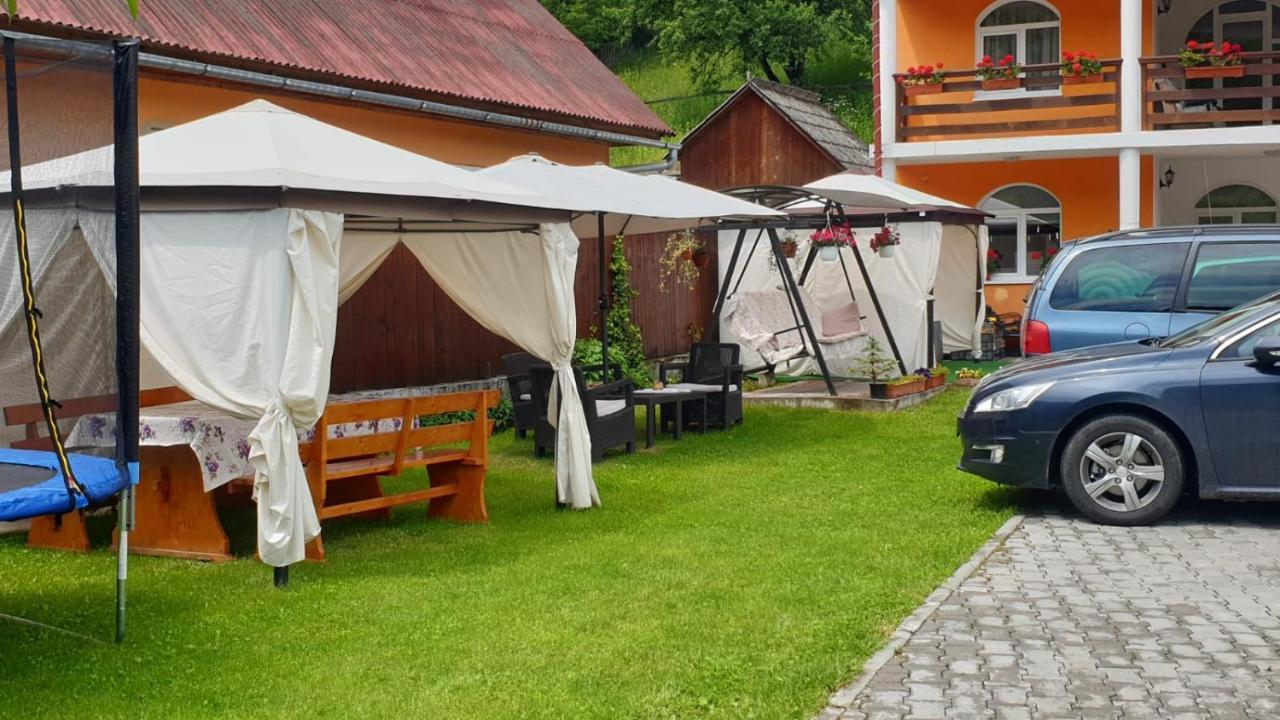 Casa Cristalina&Dumi Pensionat Albac Eksteriør billede