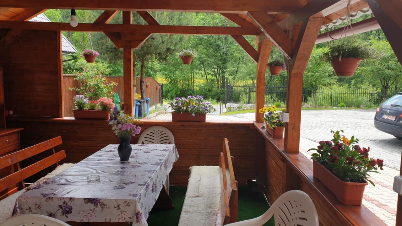 Casa Cristalina&Dumi Pensionat Albac Eksteriør billede