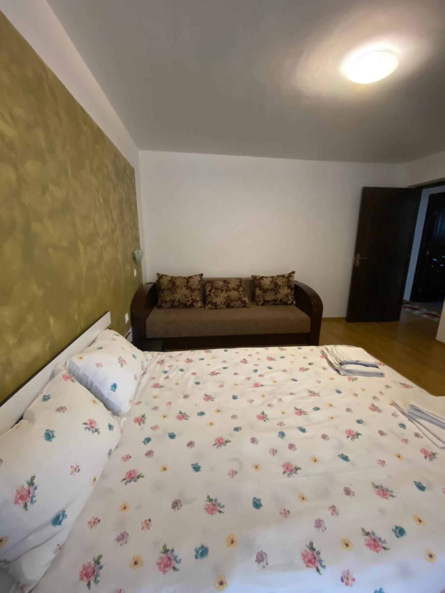 Casa Cristalina&Dumi Pensionat Albac Eksteriør billede