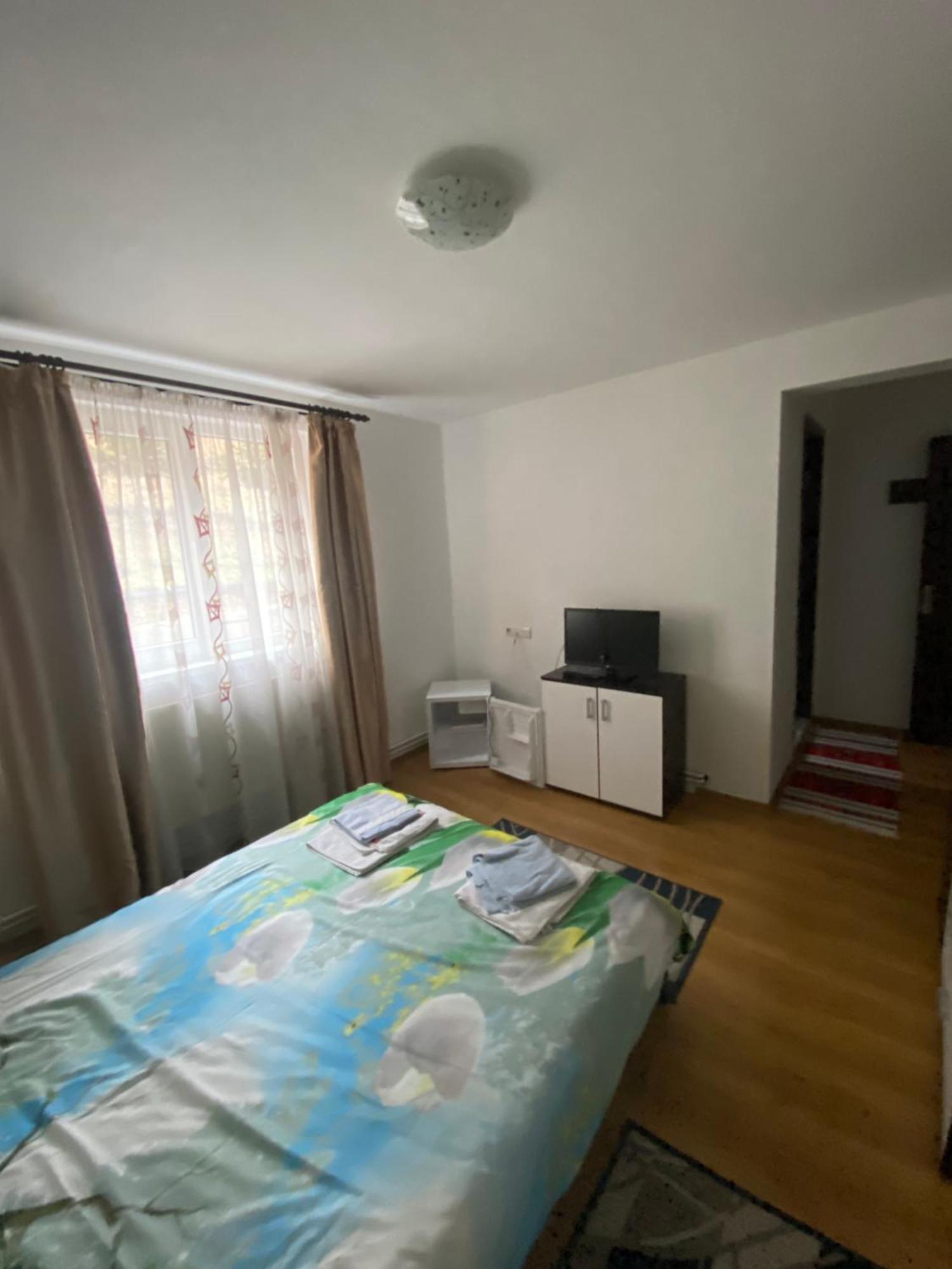 Casa Cristalina&Dumi Pensionat Albac Eksteriør billede