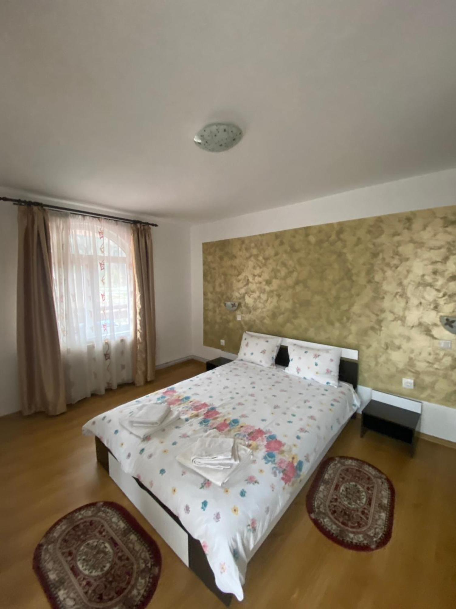 Casa Cristalina&Dumi Pensionat Albac Eksteriør billede