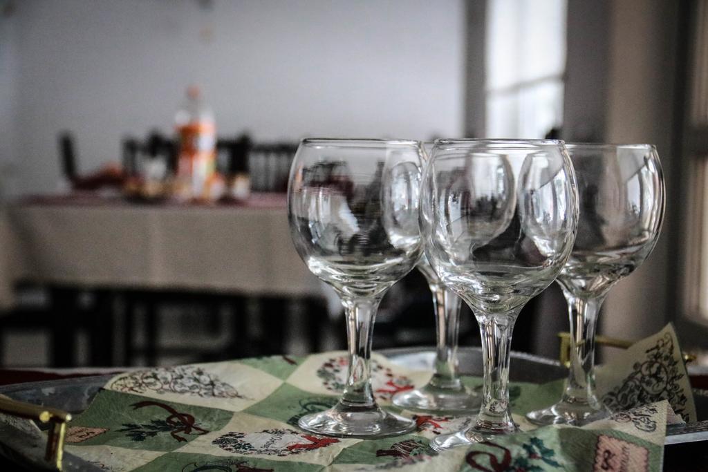 Casa Cristalina&Dumi Pensionat Albac Eksteriør billede